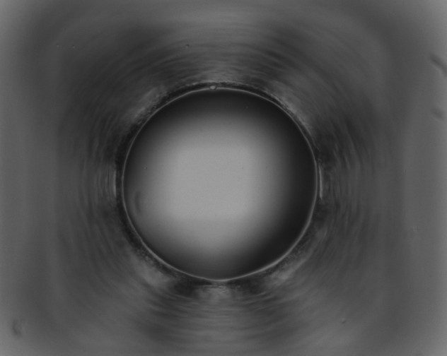 X0000093150253200710171357