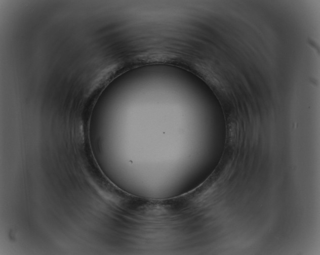 X0000093150254200710171357