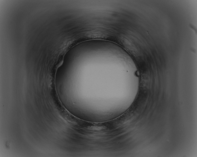 X0000093150255200710171357