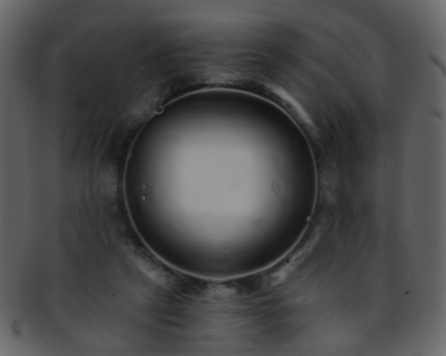 X0000093150257200710171357