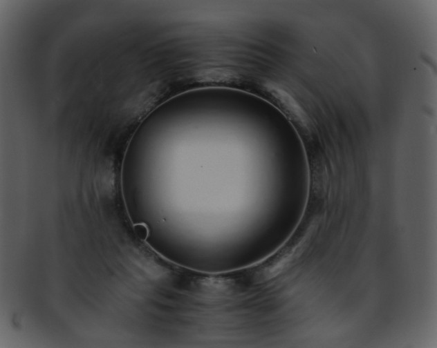 X0000093150261200710171357