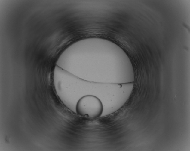 X0000093150262200710171357