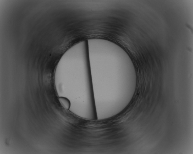 X0000093150263200710171357