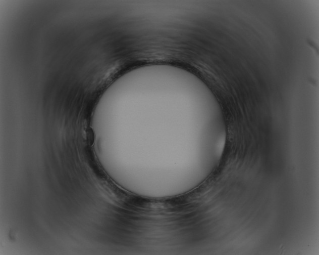 X0000093150264200710171357