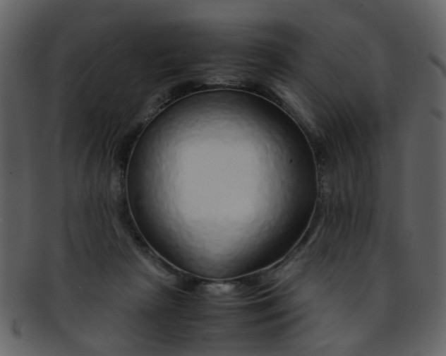 X0000093150265200710171357