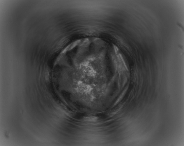 X0000093150266200710171357