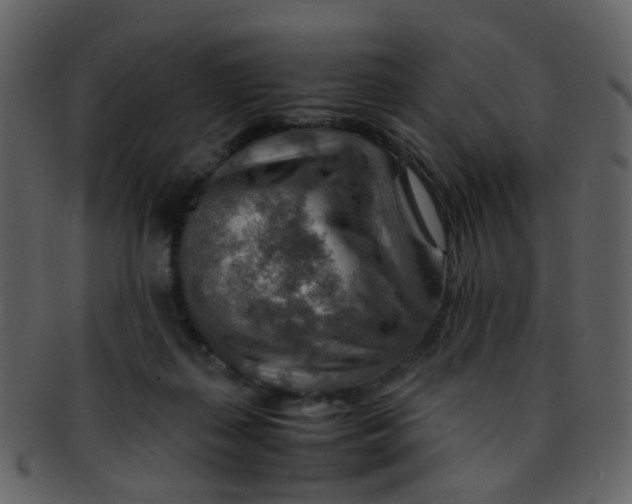 X0000093150267200710171357