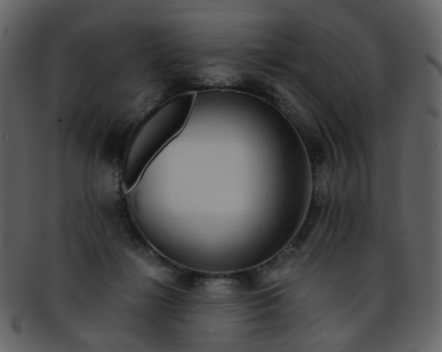 X0000093150268200710171357