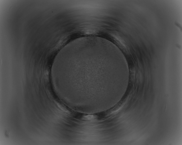 X0000093150269200710171357