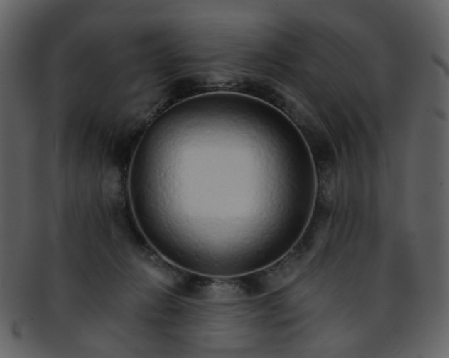 X0000093150270200710171357