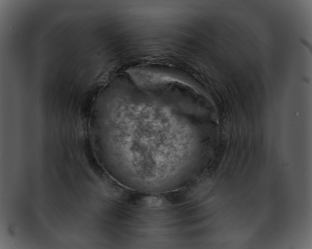 X0000093150272200710171357