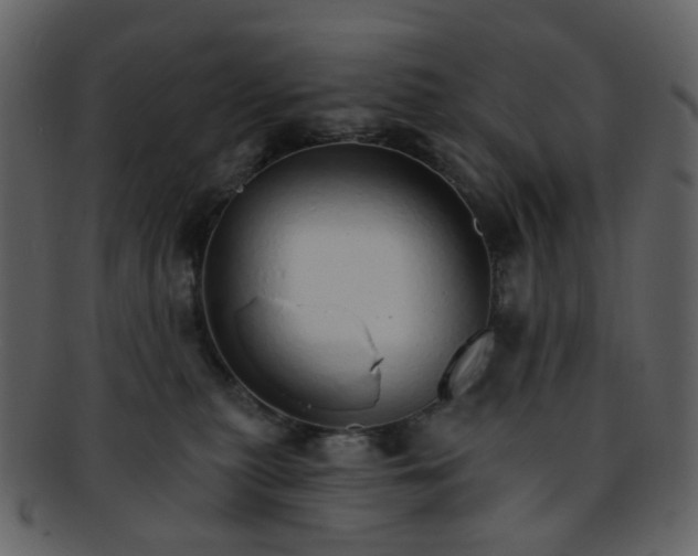 X0000093150279200710171357