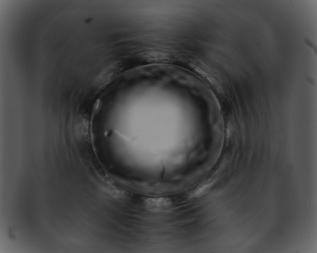 X0000093150281200710171357