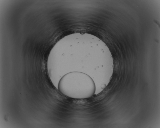 X0000093150282200710171357