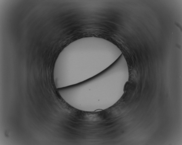 X0000093150283200710171357