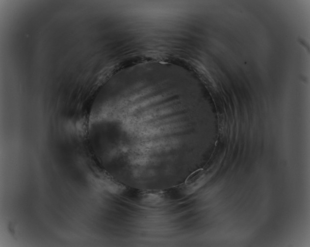 X0000093150285200710171357