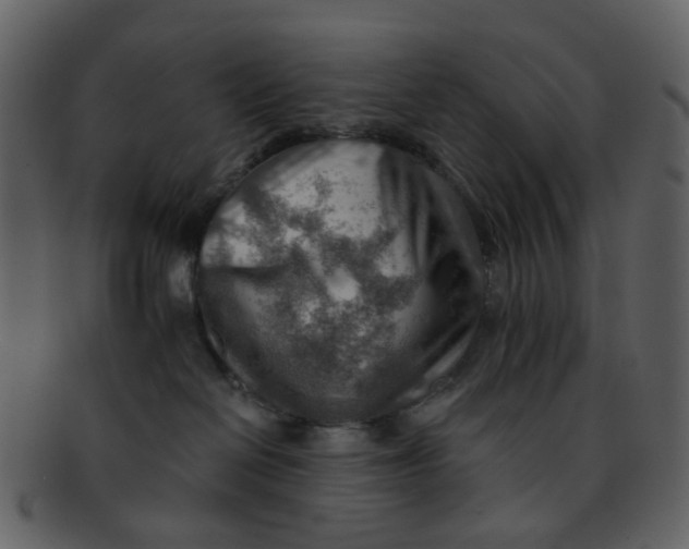 X0000093150286200710171357