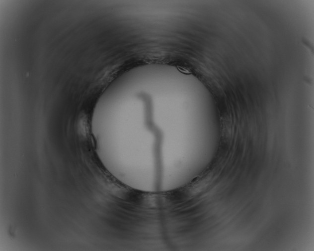 X0000093150287200710171357