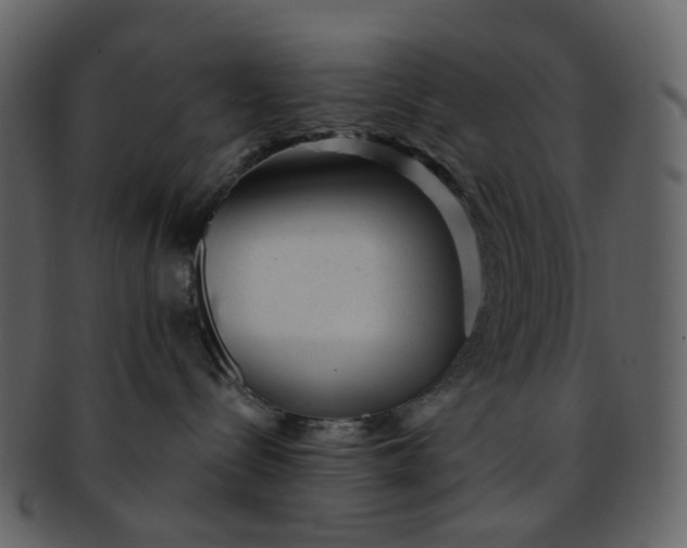 X0000093150288200710171357