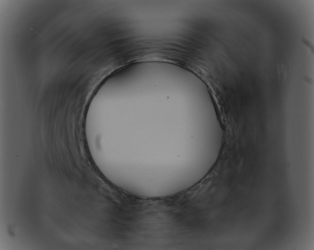 X0000093150289200710171356