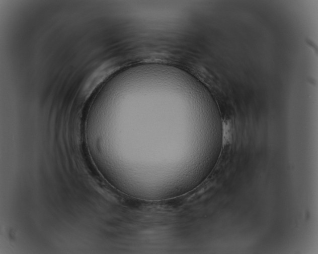 X0000093150291200710171356