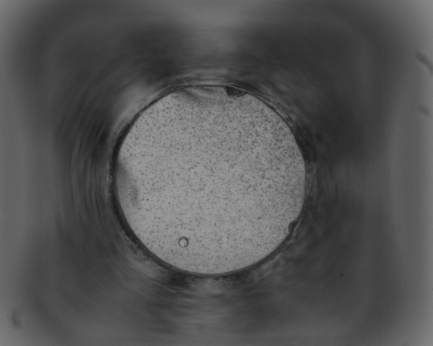 X0000093150293200710171356