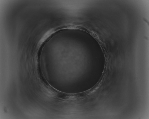 X0000093150295200710171356