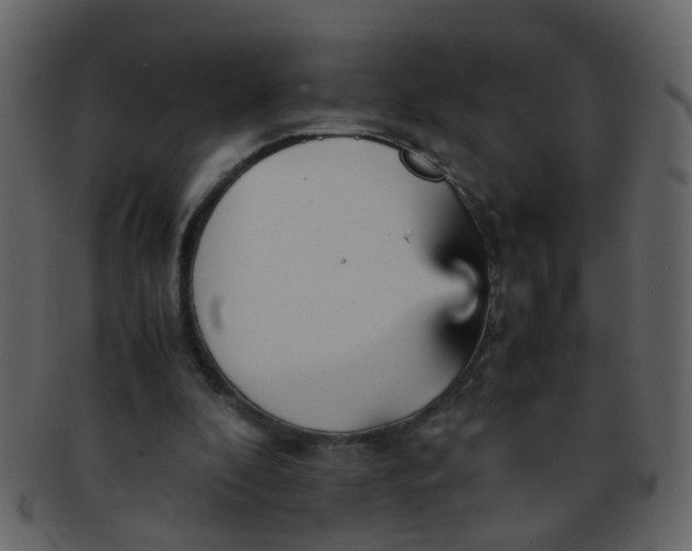 X0000093150296200710171356