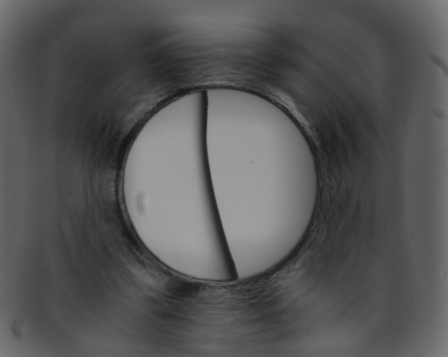 X0000093150299200710171356