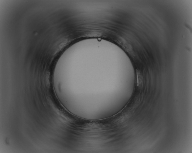 X0000093150300200710171356