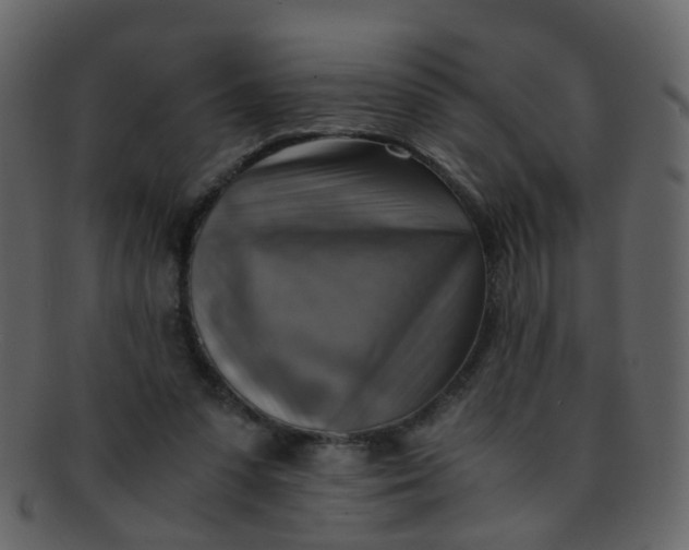 X0000093150303200710171356