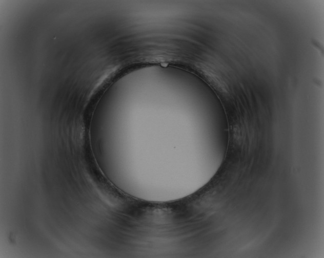 X0000093150304200710171356