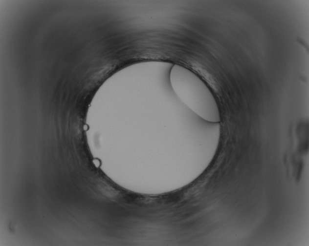 X0000093150305200710171356