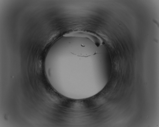 X0000093150308200710171356