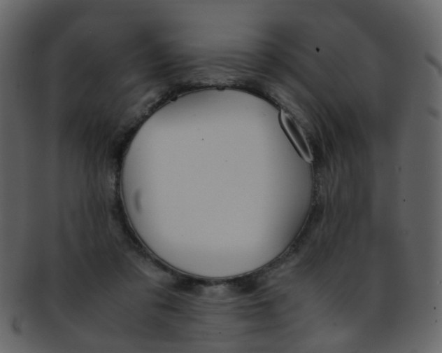 X0000093150309200710171356