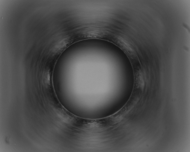 X0000093150310200710171356