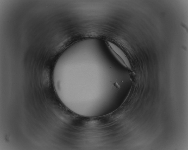 X0000093150312200710171356