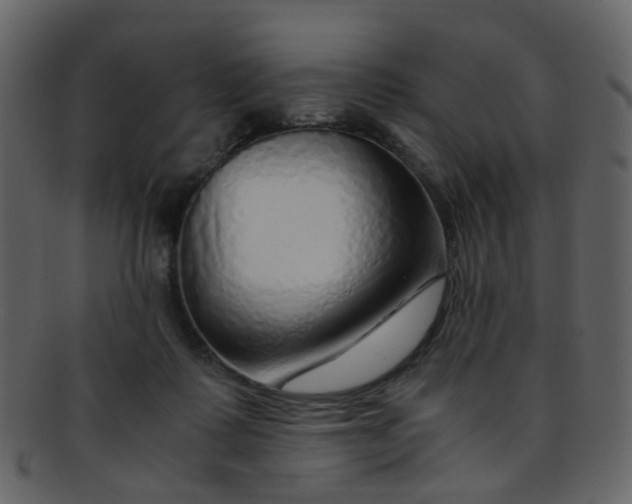 X0000093150315200710171356