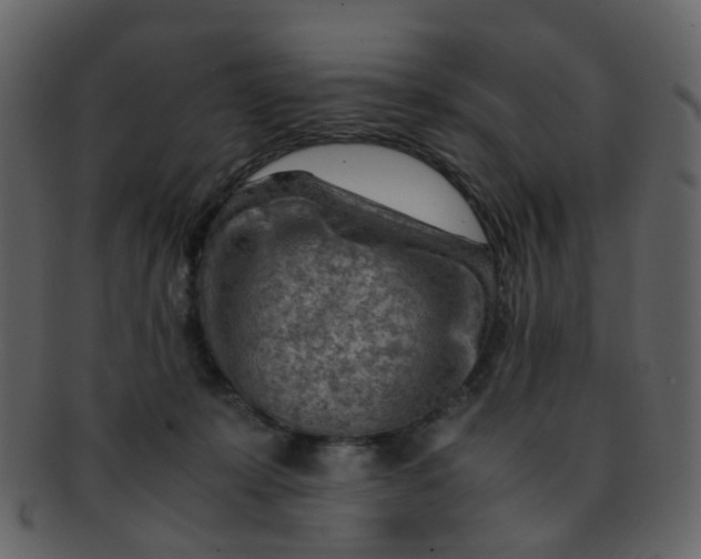 X0000093150319200710171356