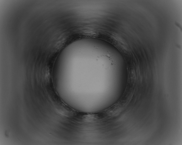 X0000093150320200710171356