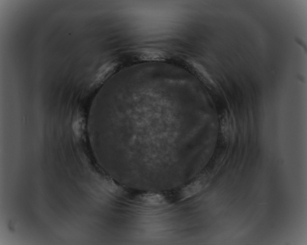 X0000093150322200710171356