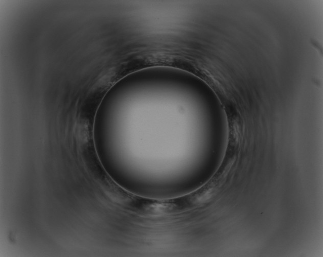 X0000093150323200710171356