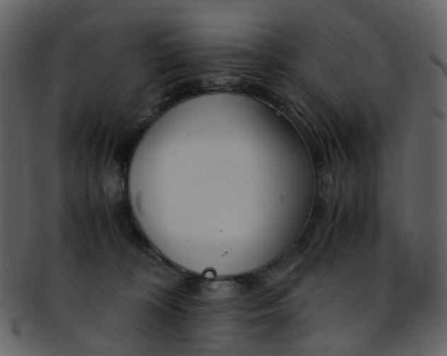 X0000093150324200710171356