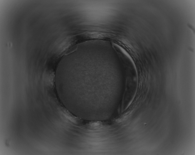 X0000093150325200710171356