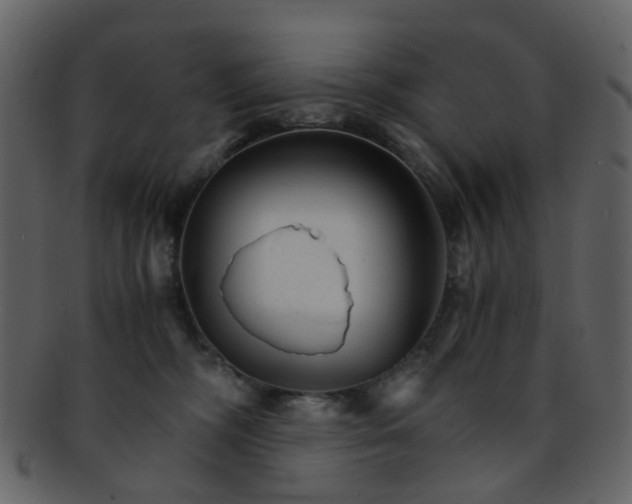 X0000093150326200710171356