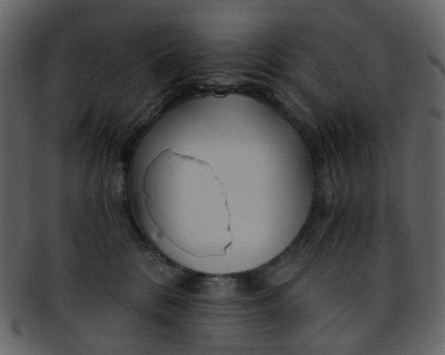 X0000093150328200710171356