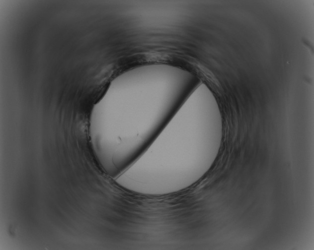 X0000093150329200710171356