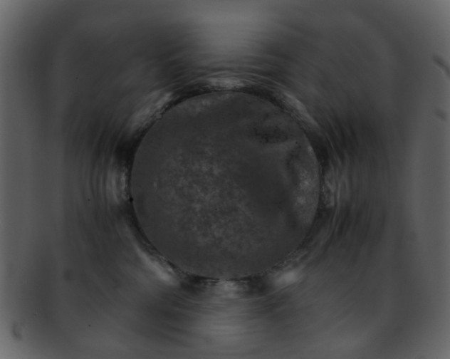 X0000093150330200710171356