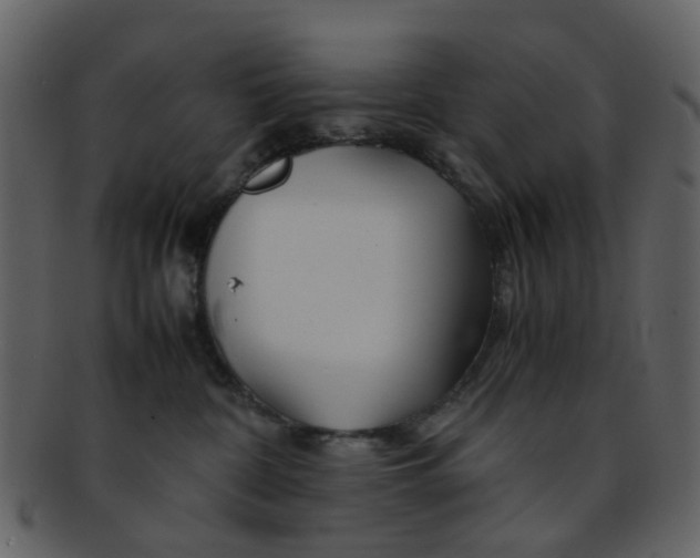 X0000093150332200710171356