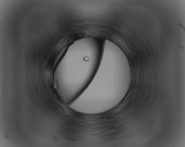 X0000093150333200710171356